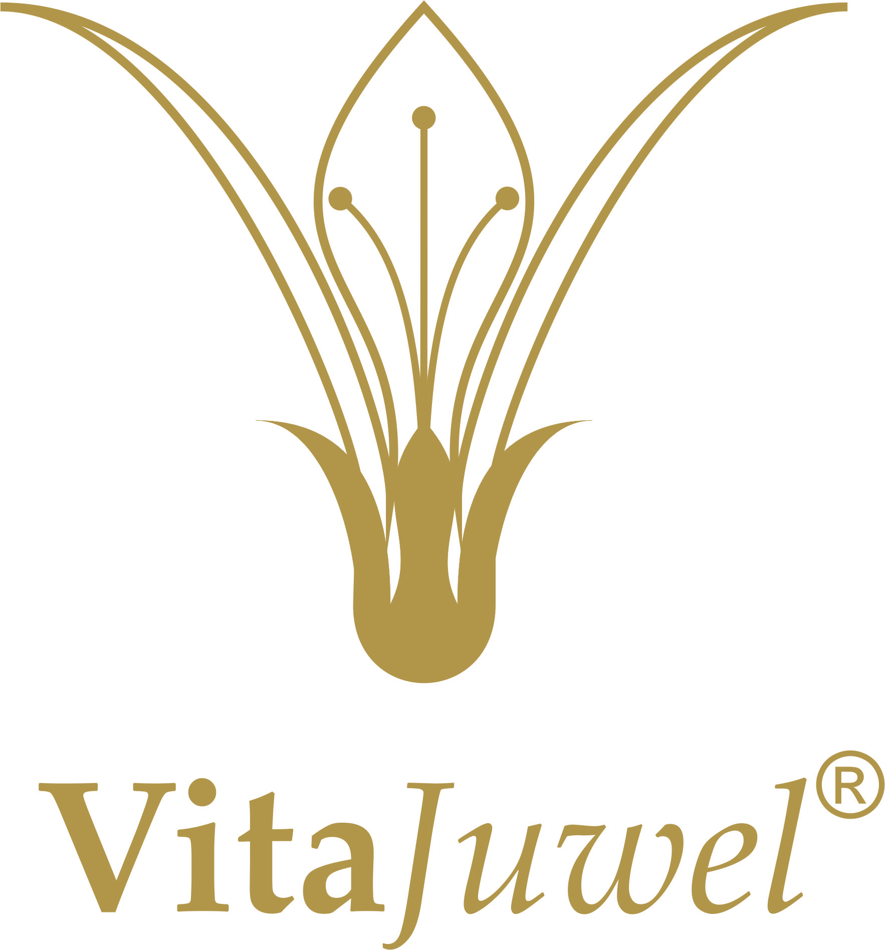 VitaJuwel_Logo